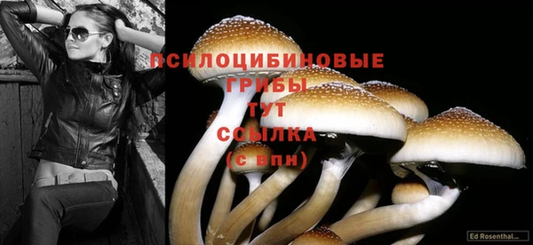 тгк Алексеевка