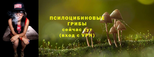 дурь Алексин
