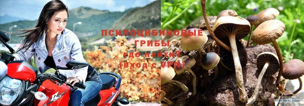 дурь Алексин