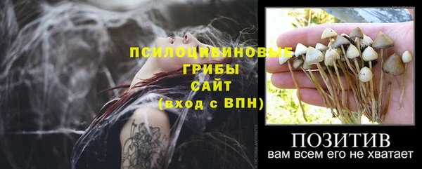 индика Пестово