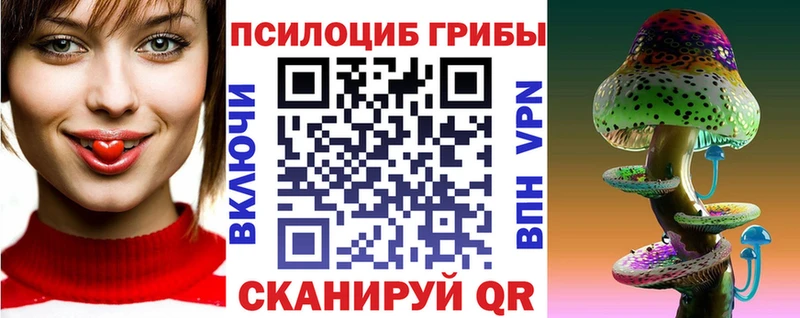 магазин Асино KRAKEN зеркало Псилоцибиновые грибы прущие грибы